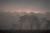 3-fog02.1.jpg